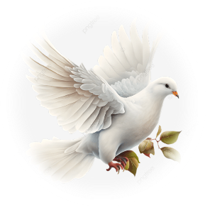 Vliegende witte duif